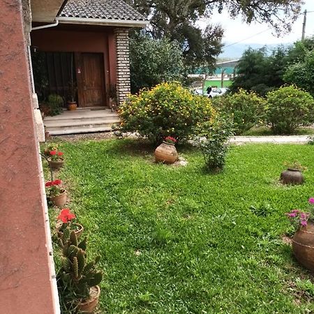 Vivenda Do Sobreiro Al Apartment Serpins Luaran gambar
