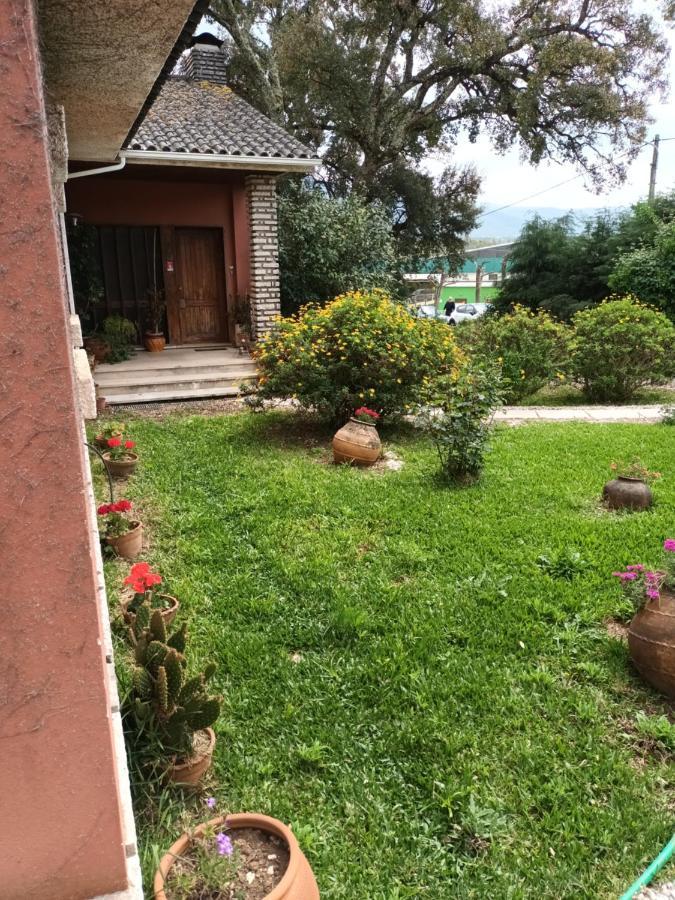 Vivenda Do Sobreiro Al Apartment Serpins Luaran gambar